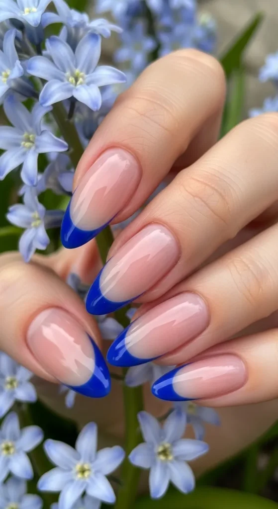 classic-cobalt-french-outline